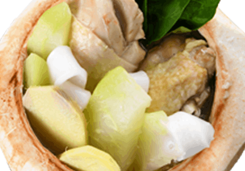 Chicken Binakol